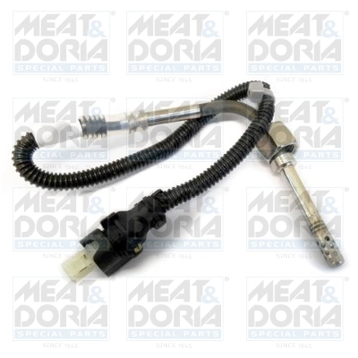 Sensor, exhaust gas temperature